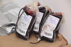 BANSAHEFA-inicia-jornada-en-empresas-privadas-para-promover-la-donacion-de-sangre-4-scaled