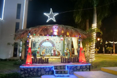 MIDE-y-ADEOFA-encienden-el-arbol-de-Navidad-para-conmemorar-el-nacimiento-del-nino-Jesus-7