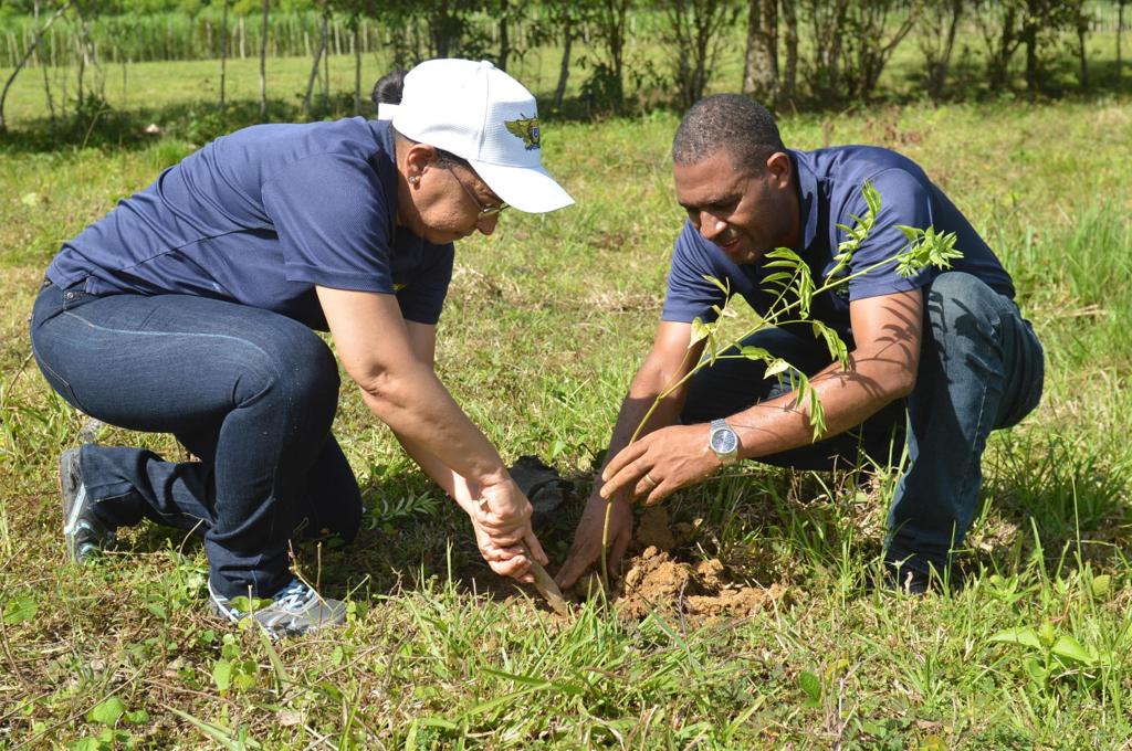 Fuerzas Armadas se une a gran “Jornada de Reforestación 2023” y siembran 5 mil árboles 5