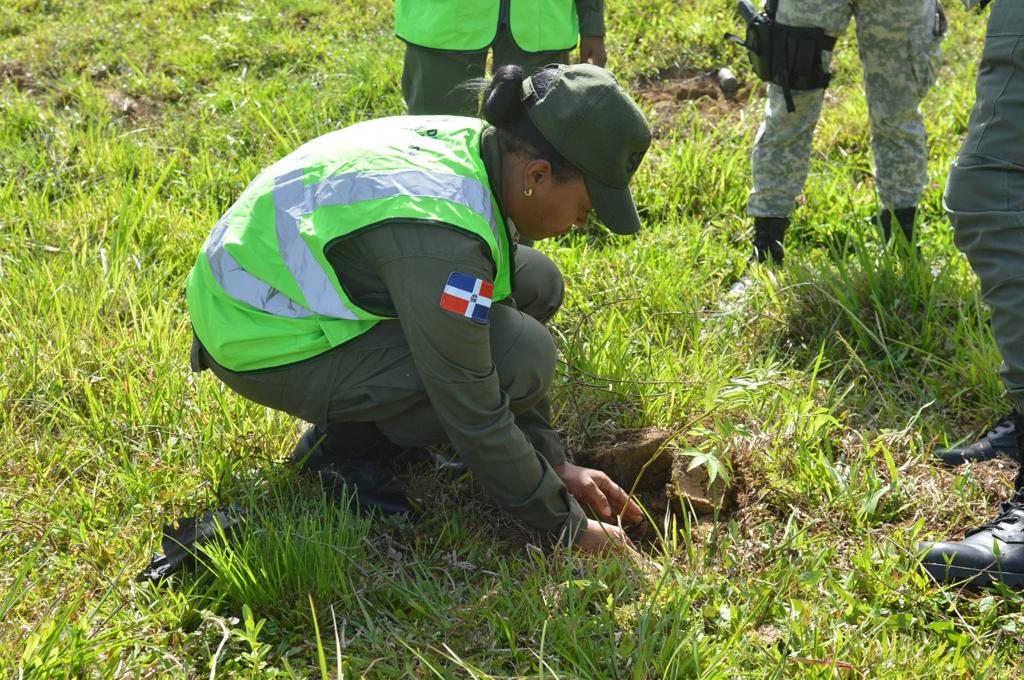 Fuerzas Armadas se une a gran “Jornada de Reforestación 2023” y siembran 5 mil árboles 9