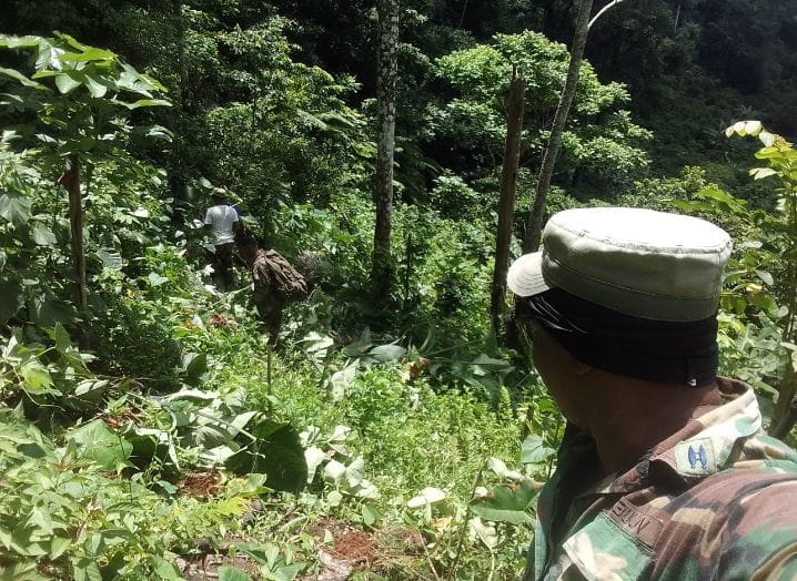 FF. AA mantienen vigilancia militar 247 en el Parque Nacional Los Haitises 4