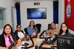 Expertos destacan la importancia del libre acceso a la información en las Fuerzas Armadas 4