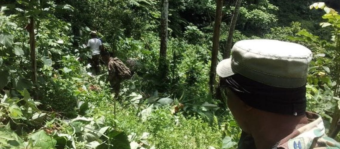 FF. AA mantienen vigilancia militar 247 en el Parque Nacional Los Haitises 4